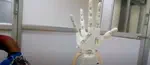 Robotic Arm