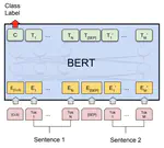 Extractive Q&A NLP